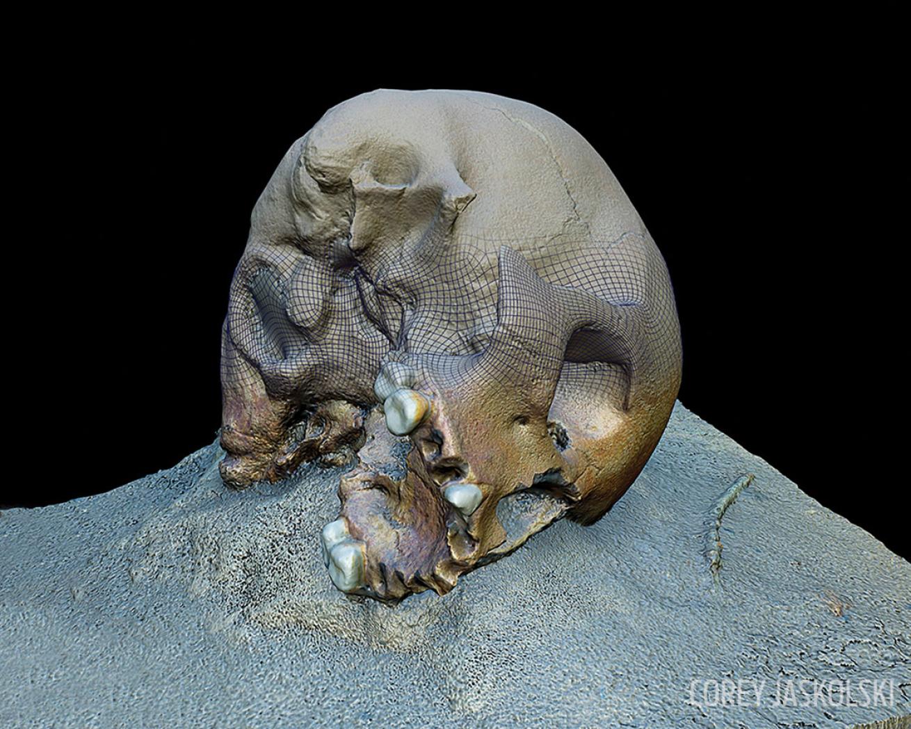 human skull cenote mexico underwater 3-D model