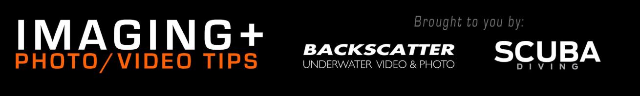 backscatter logo