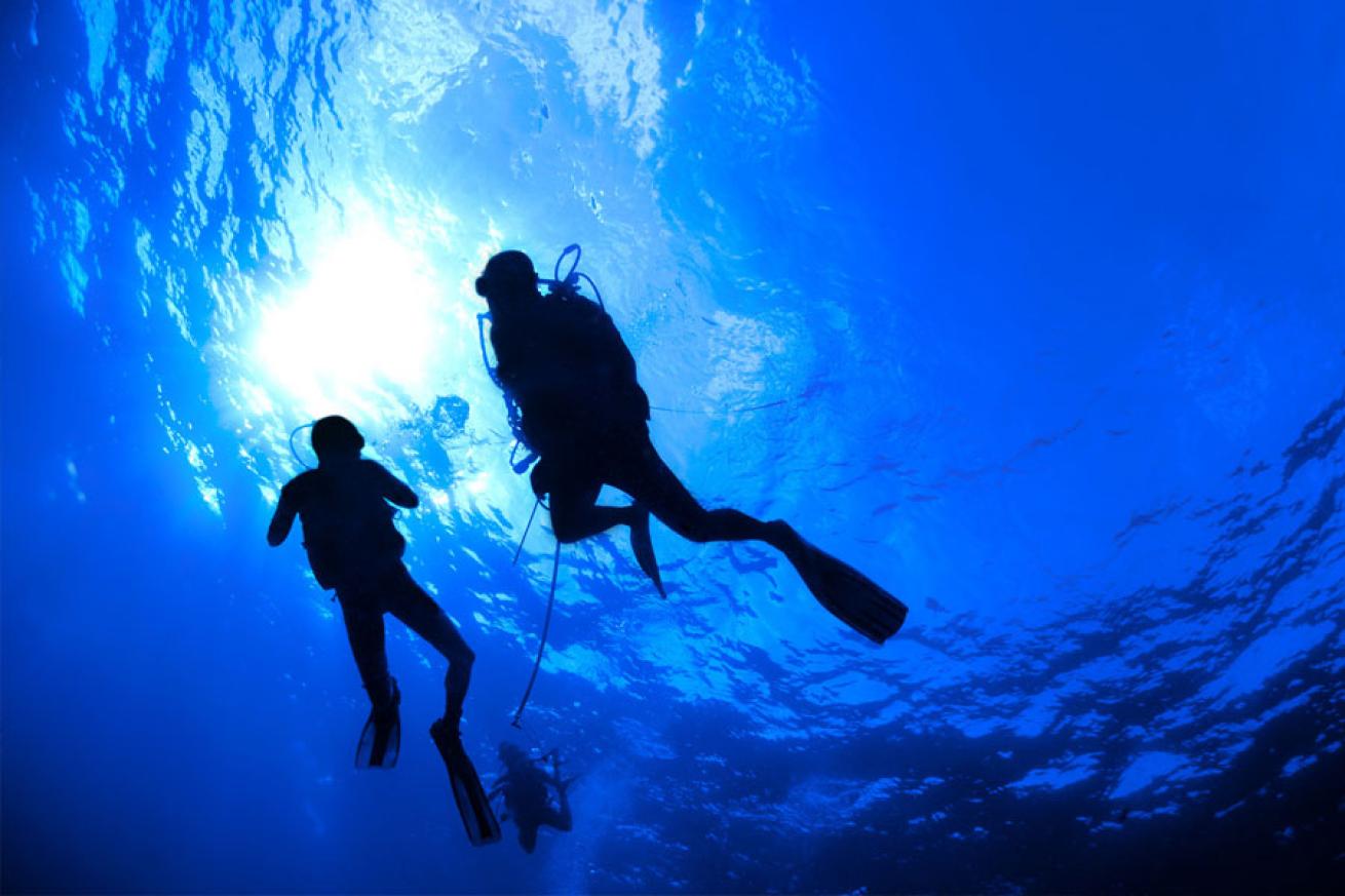 Divers Learn How To Survive Scuba Diving Accidents