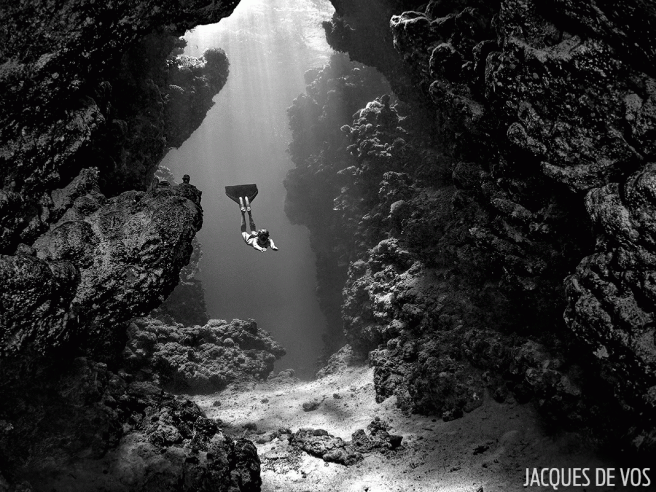 freediver Raas Mohammed National Park Egypt underwater park