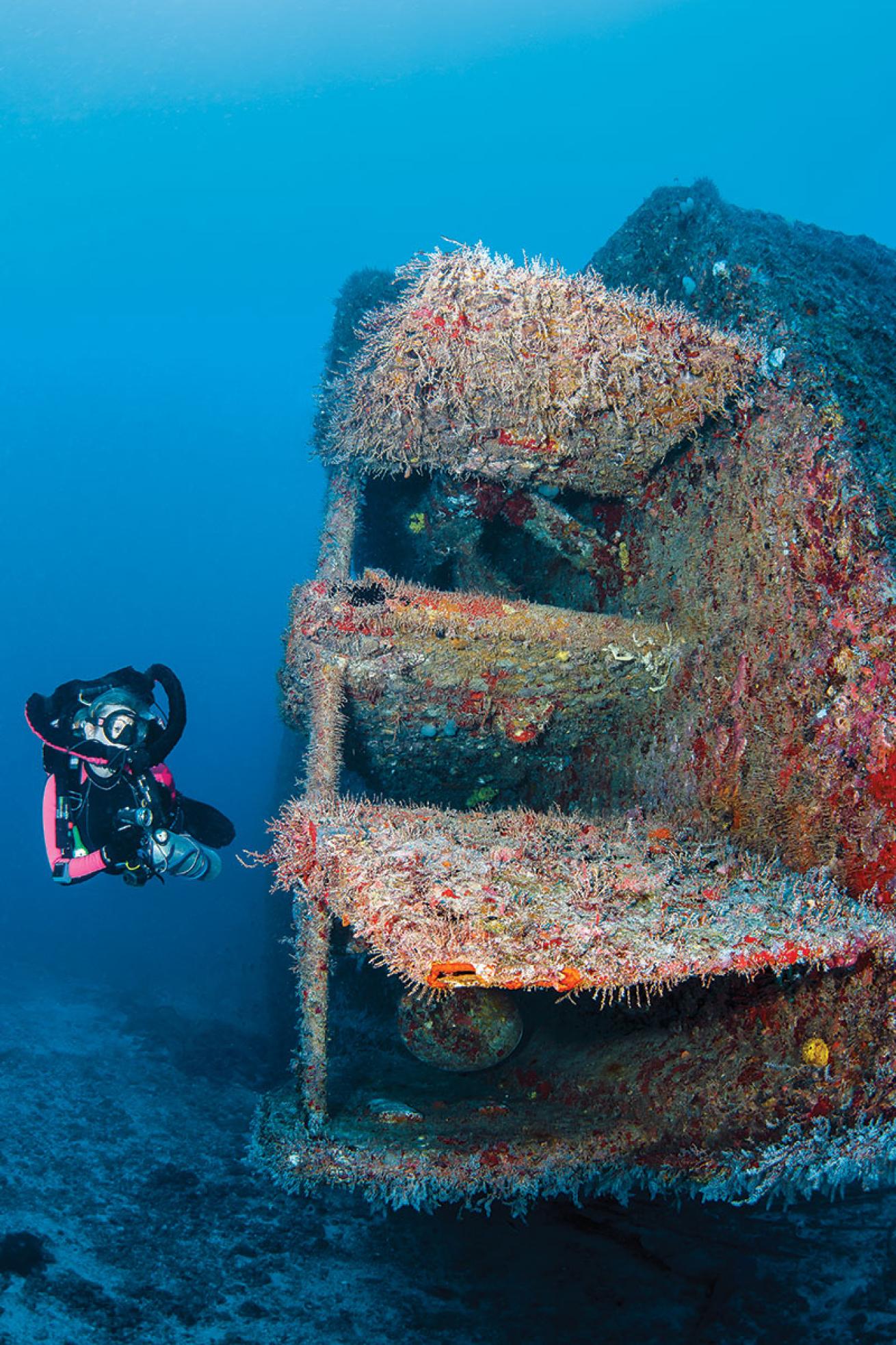 King Mitch Shipwreck Bahamas