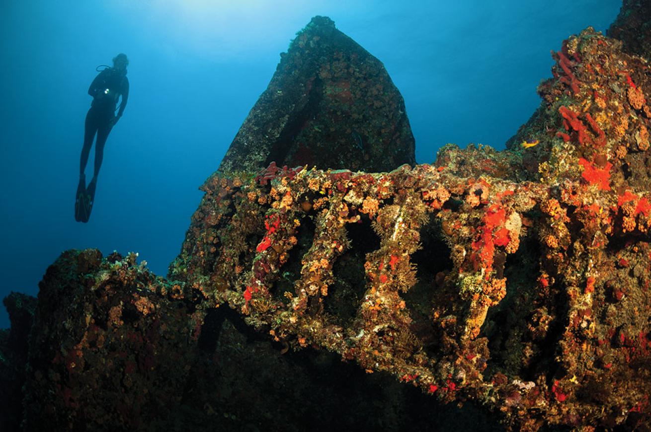 Chikuzen Wreck in the British Virgin Islands