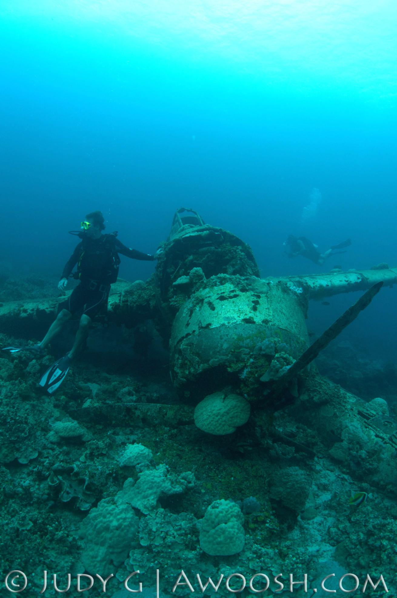 A Diver Wrongfully Touching a Plane Wreck in Palau