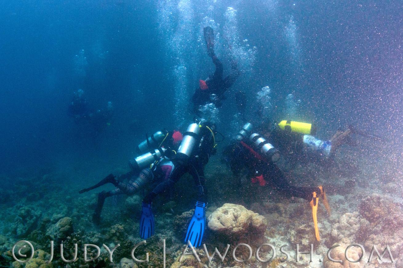 Divers Wrongfully Leaning on Coral Reefs