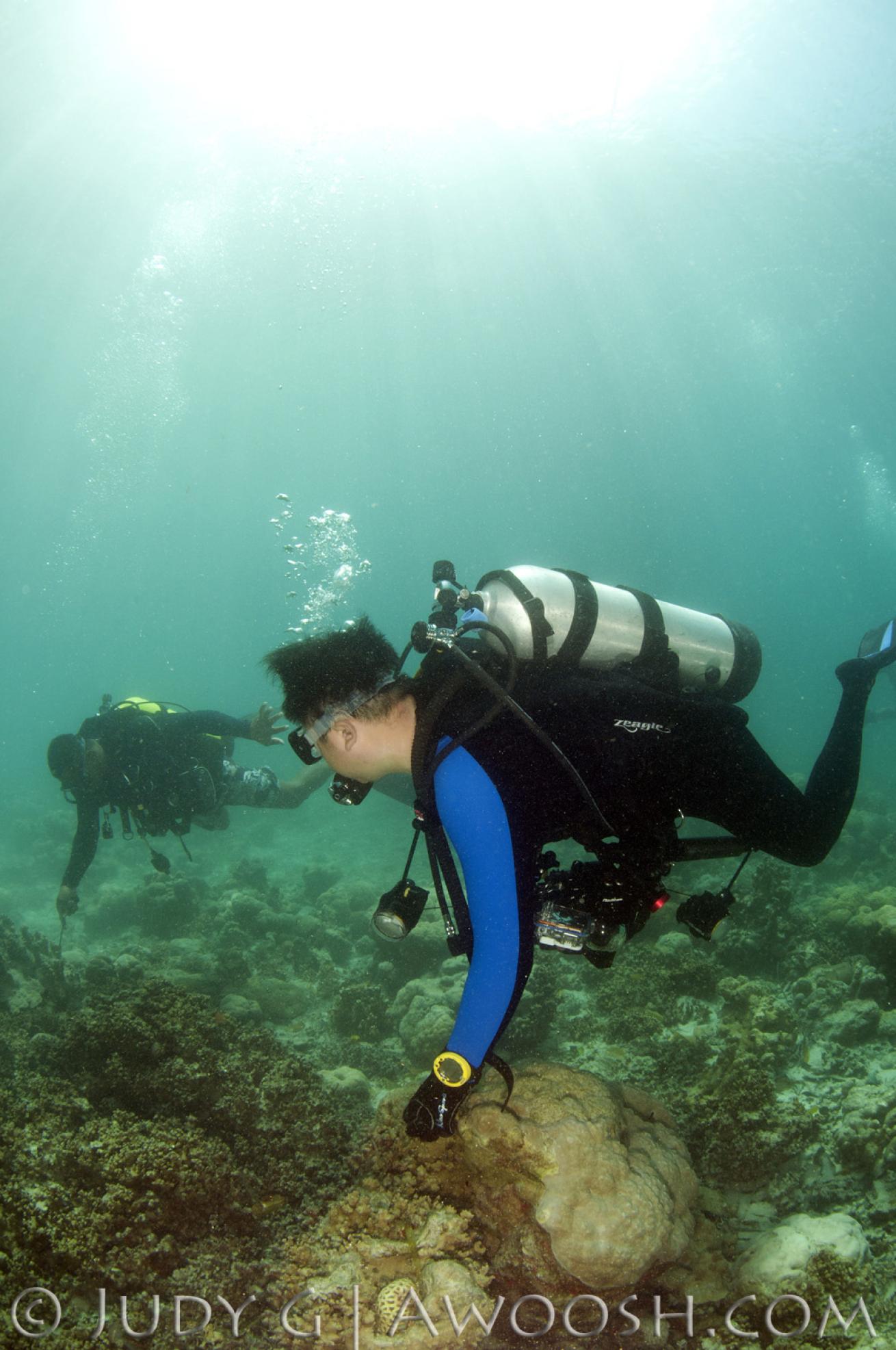 A Diver Wrongfully Holding Coral