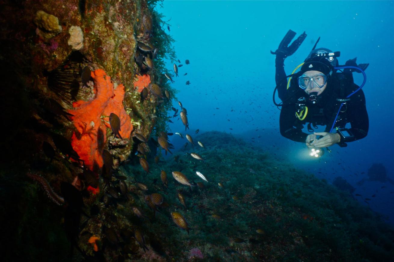 Scuba Diving Malta And Gozo
