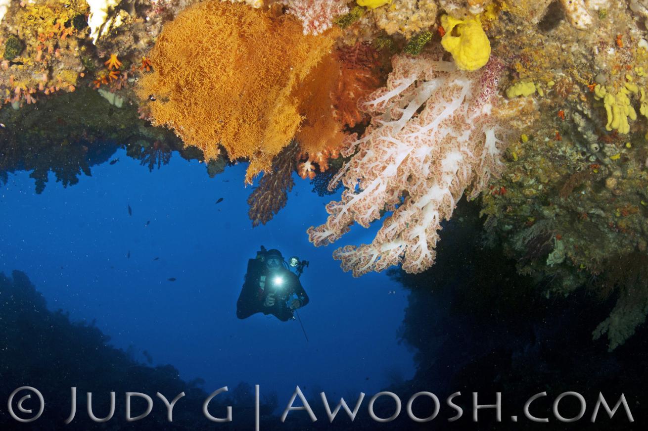 Diver in Blue Hole in Palau