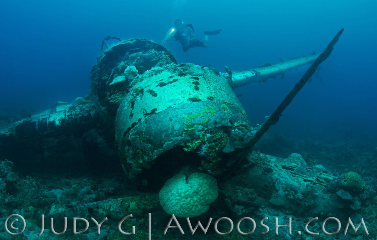 Jake's Seaplane Wreck Palau