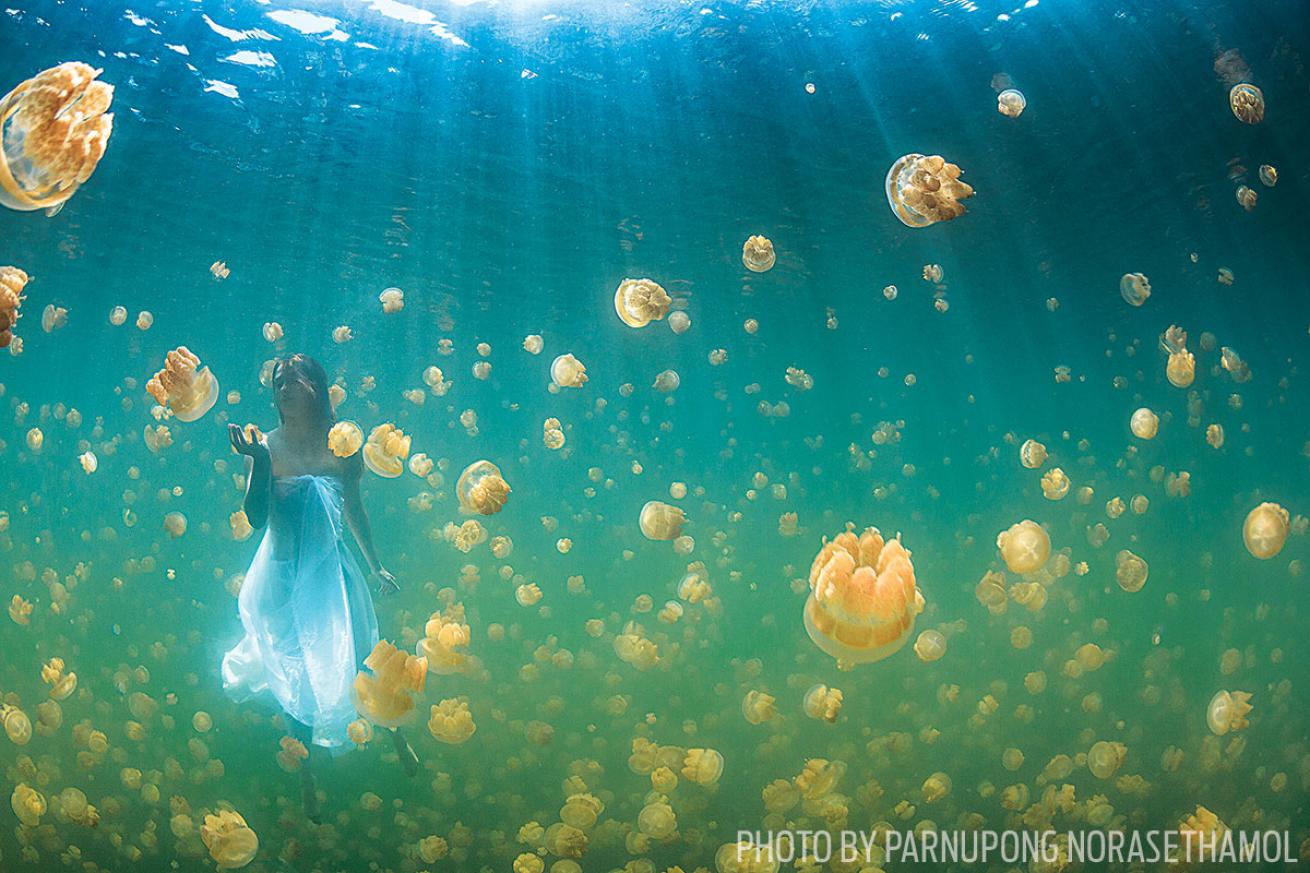Freediver in Jellyfish Lake, Palau: Second Place Photo Contest Winner