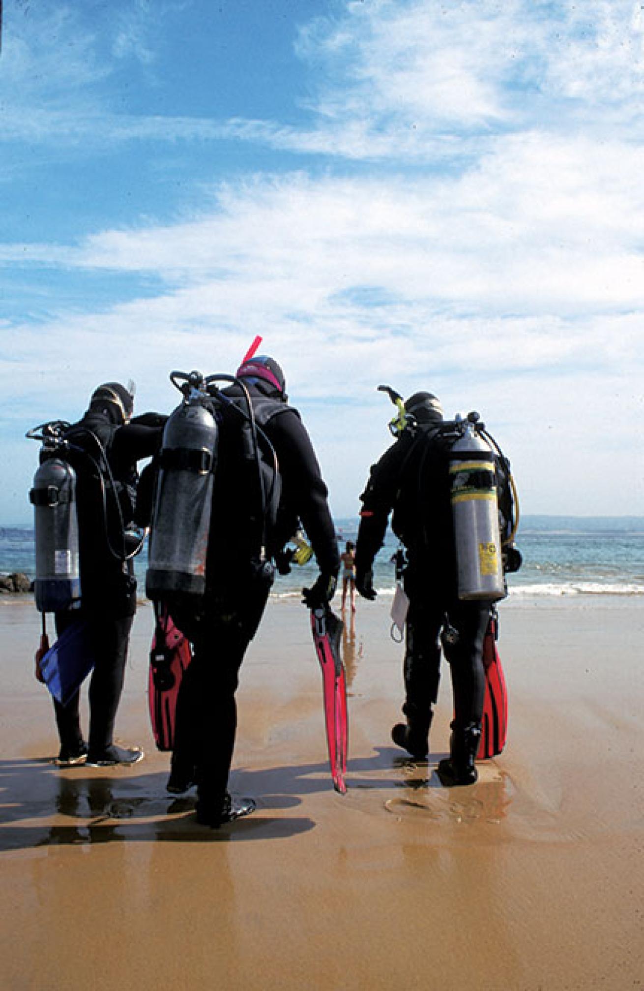 Drysuit divers