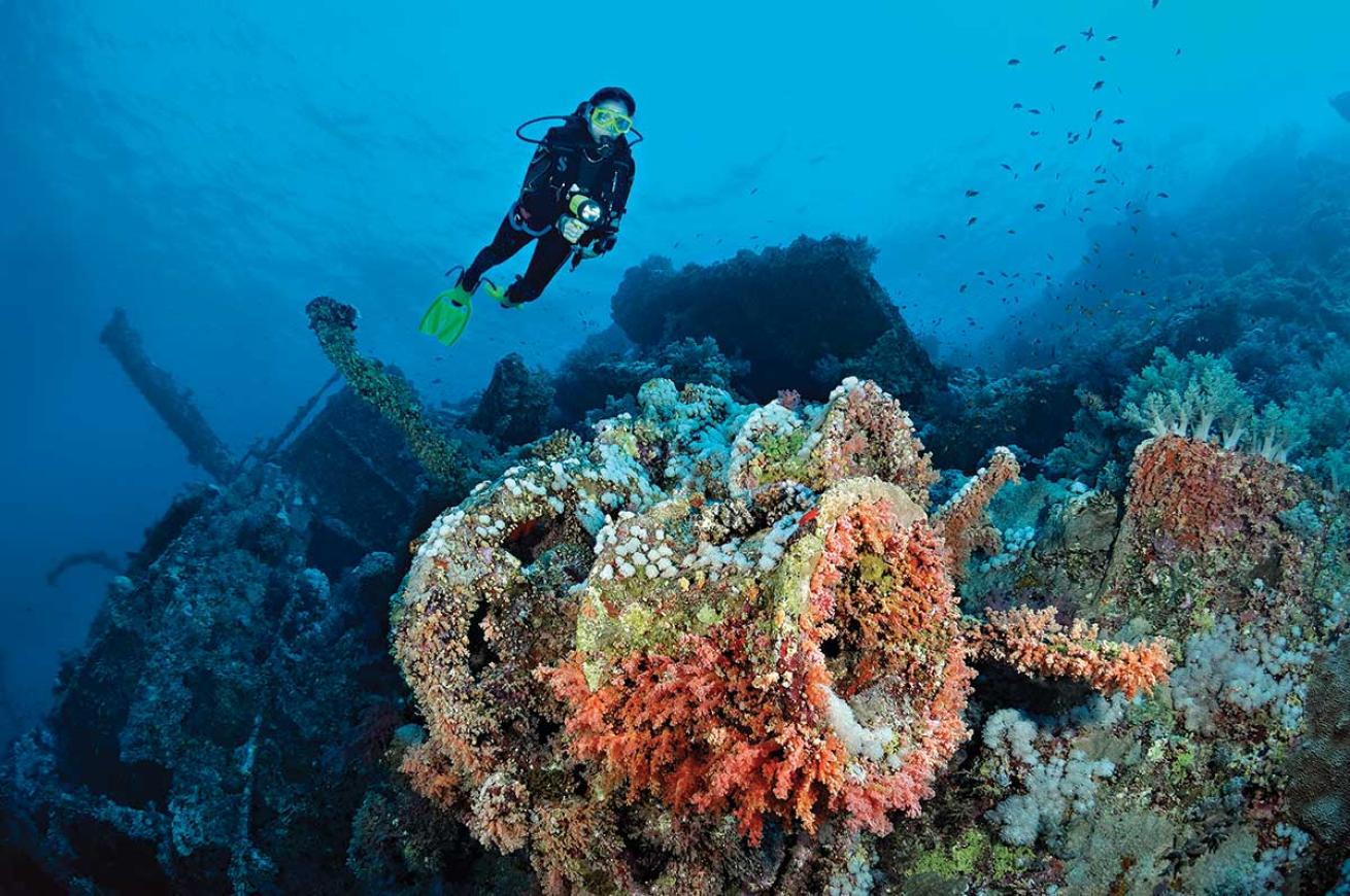 Diver Underwater Red Sea