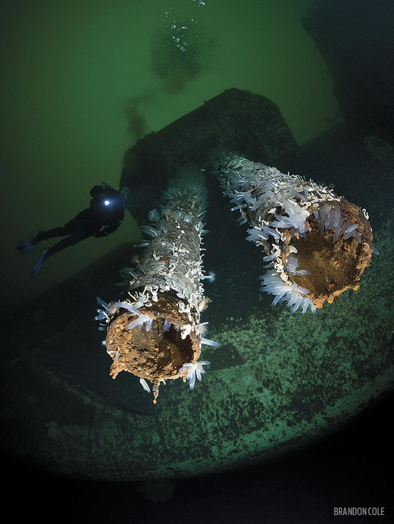 Divers with the Chaudiere wreck in British Columbia