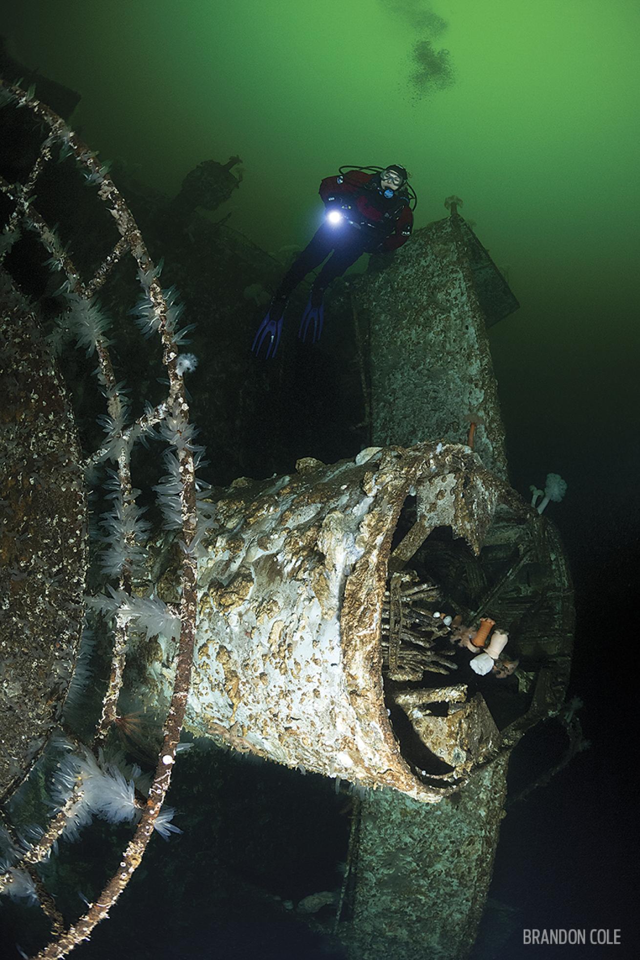 Diver Underwater in British Columbia with HMCS Chaudiere