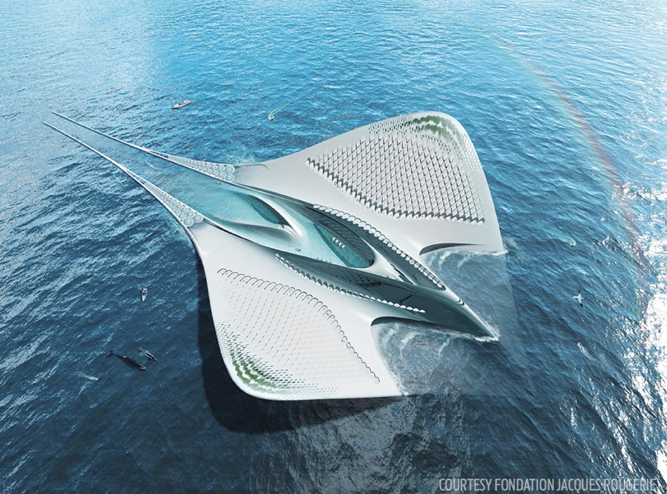 Gigantic manta ray underwater structure 