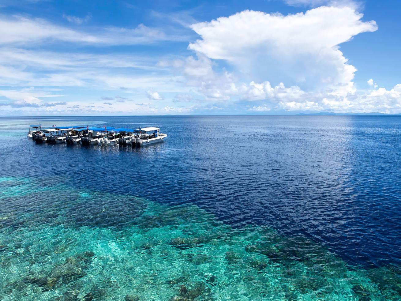 Dive Boats on the Water