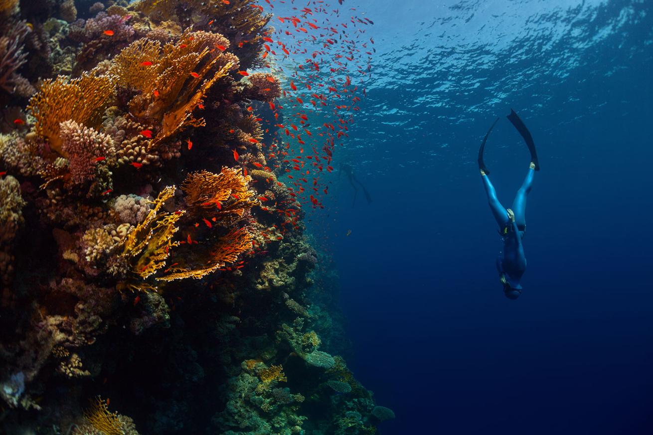 Freediver underwater