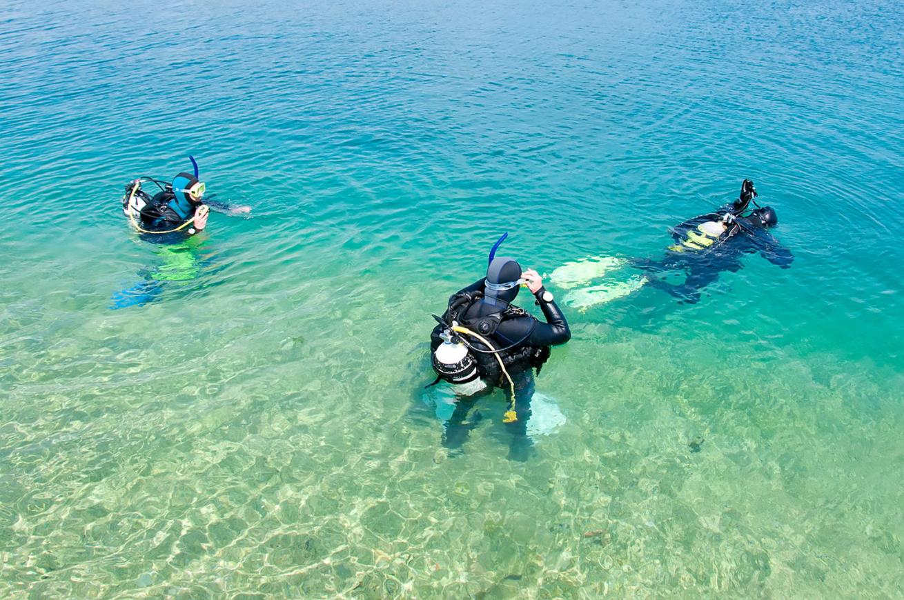 Scuba Divers in the Water