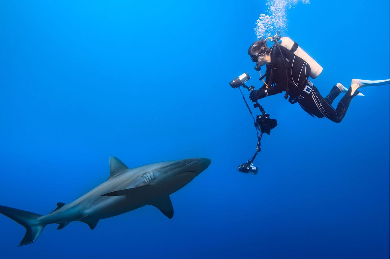 Scuba diver underwater with great white shark