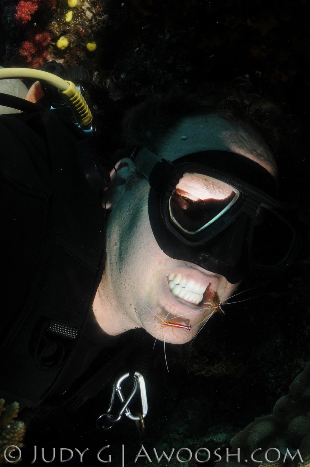 Diver Underwater Photo Cleaner Shrimp