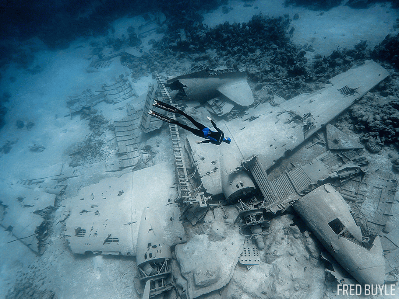 freediver airplane wreck underwater photo Bahamas
