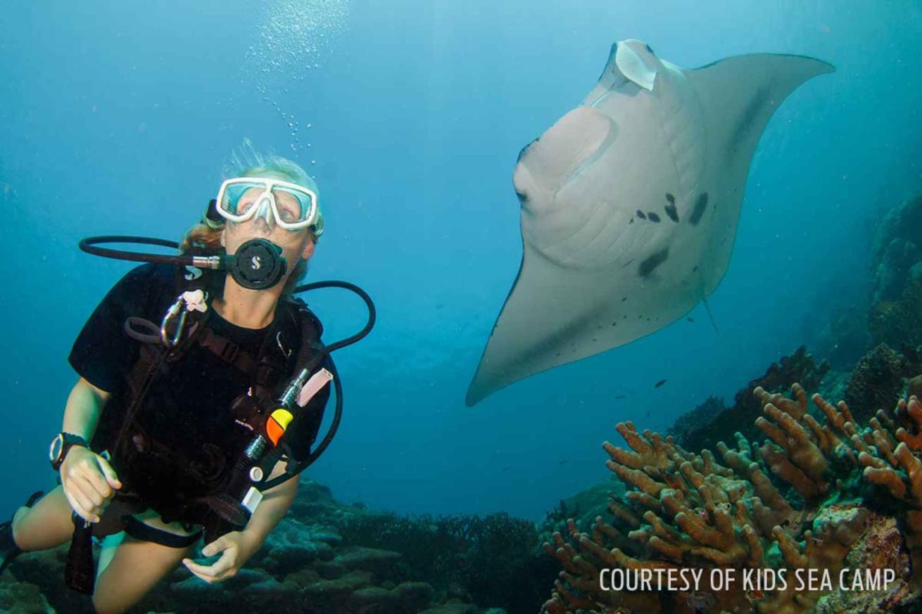 scuba diving kids manta ray encounter underwater photo