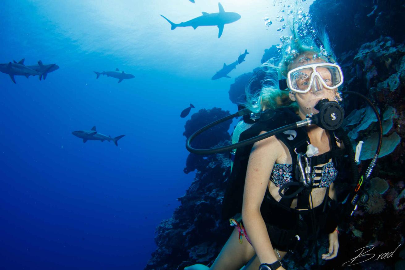 kids scuba diving sharks underwater photo