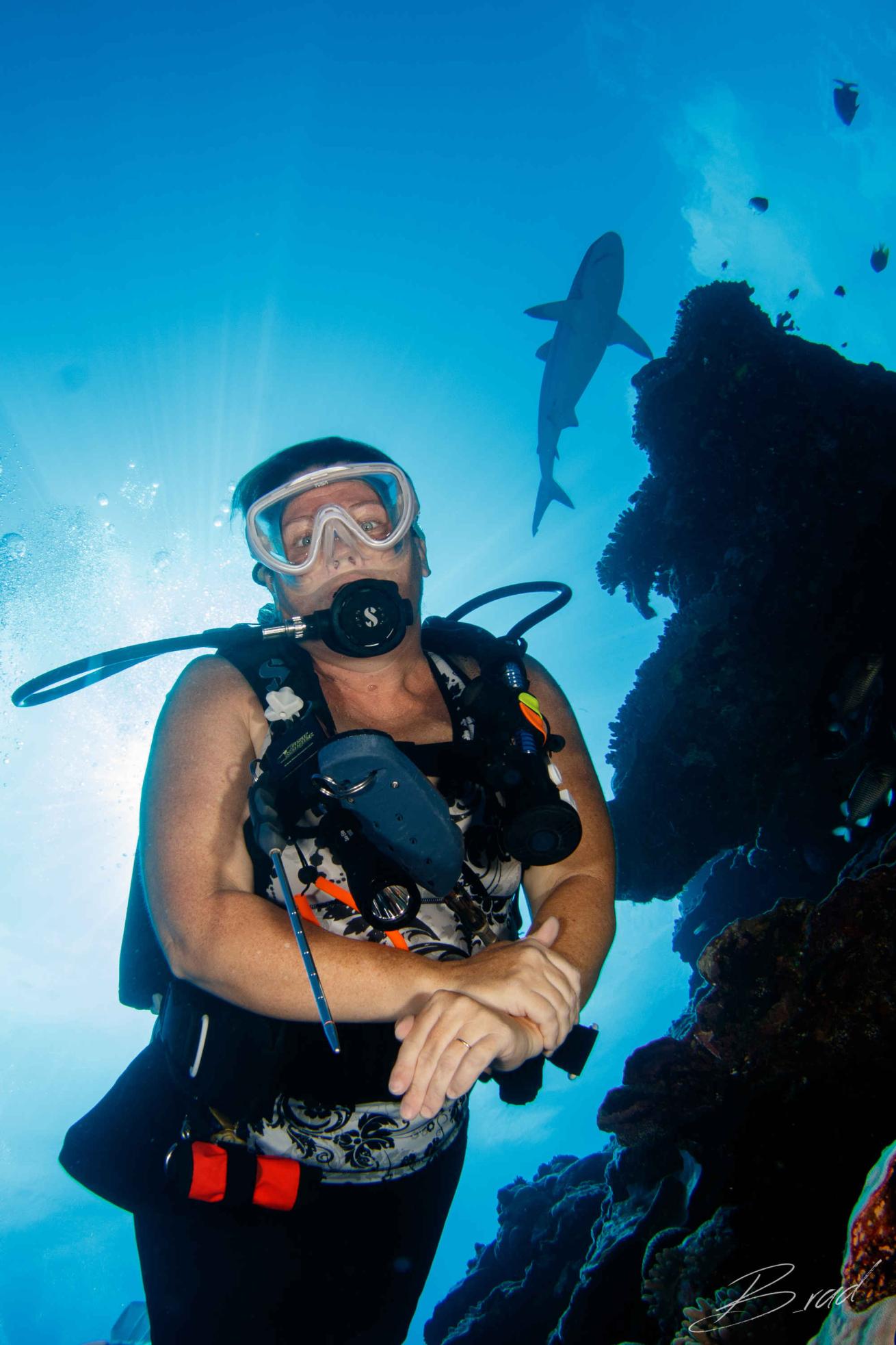 diver shark scuba diving underwater photo