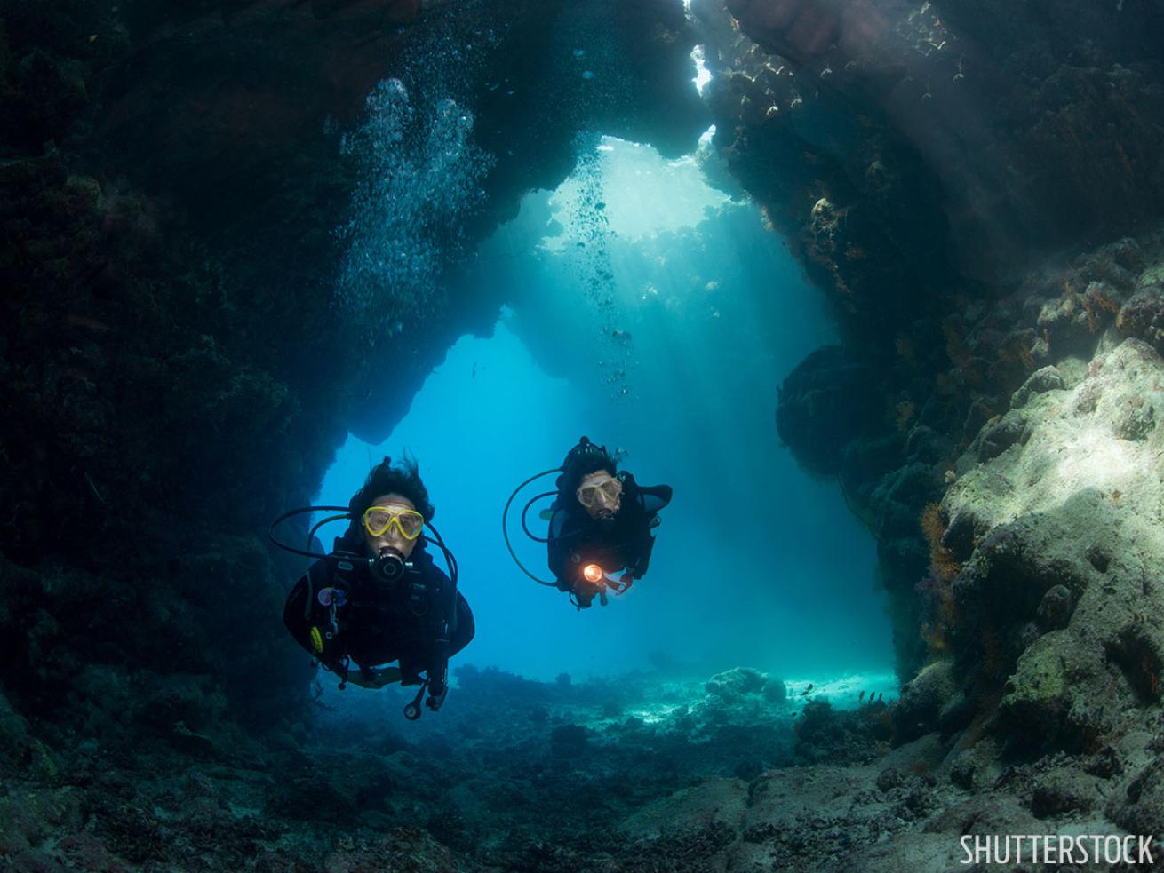 Scuba diving in the Red Sea, Egypt underwater photo