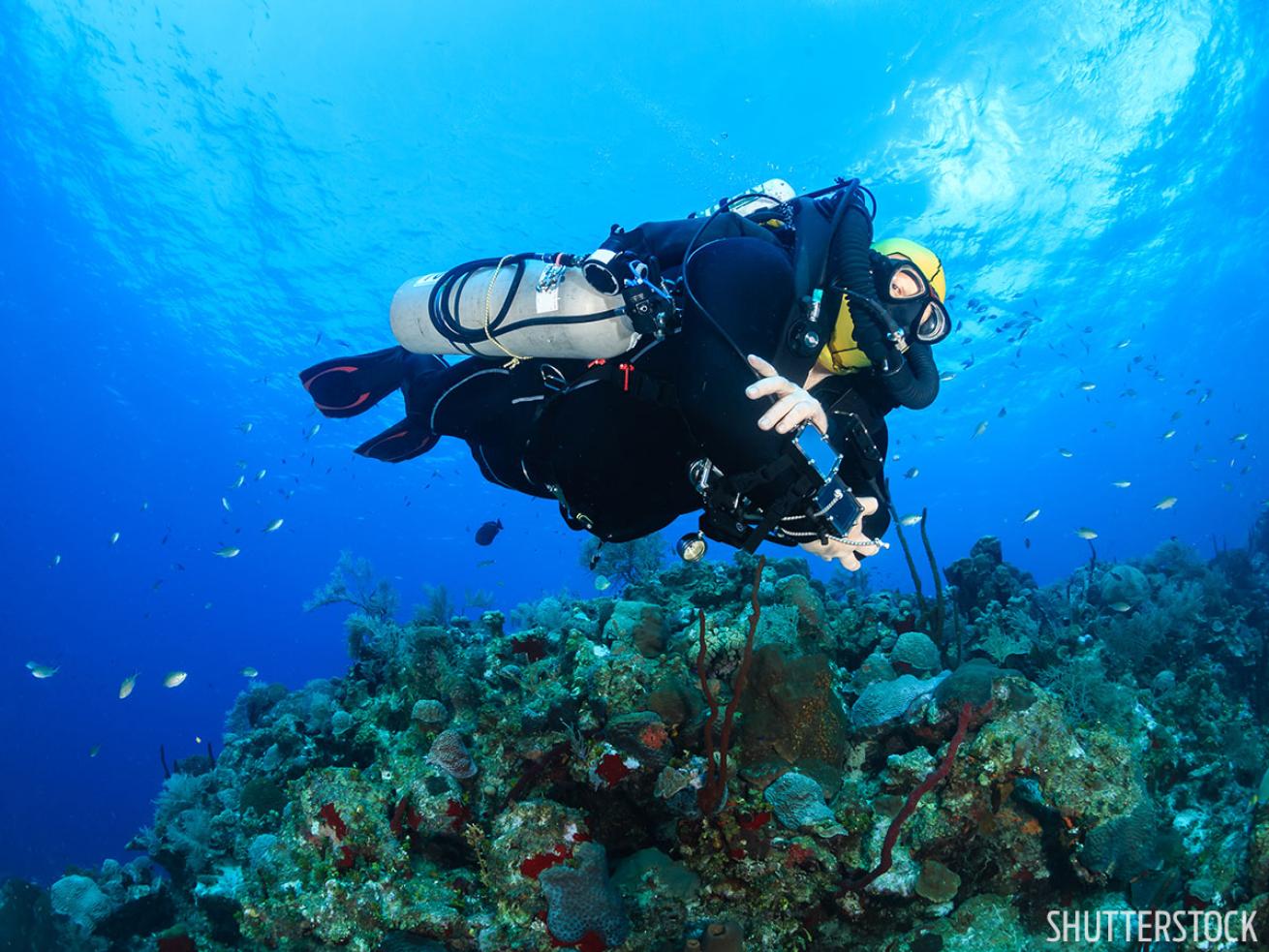 Scuba diving Cayman Islands underwater photo