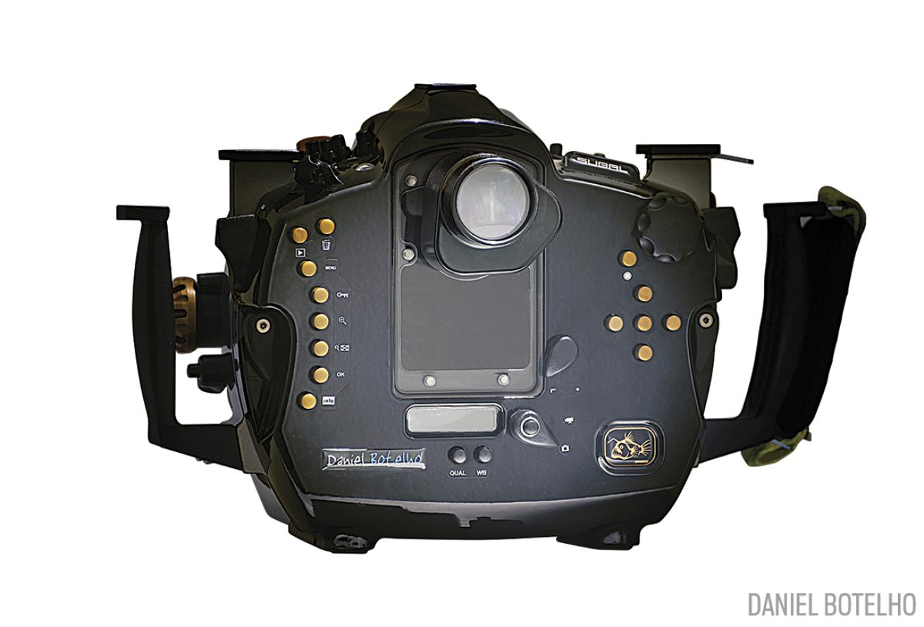 Nikon D4 Camera Rig in Underwater Housing