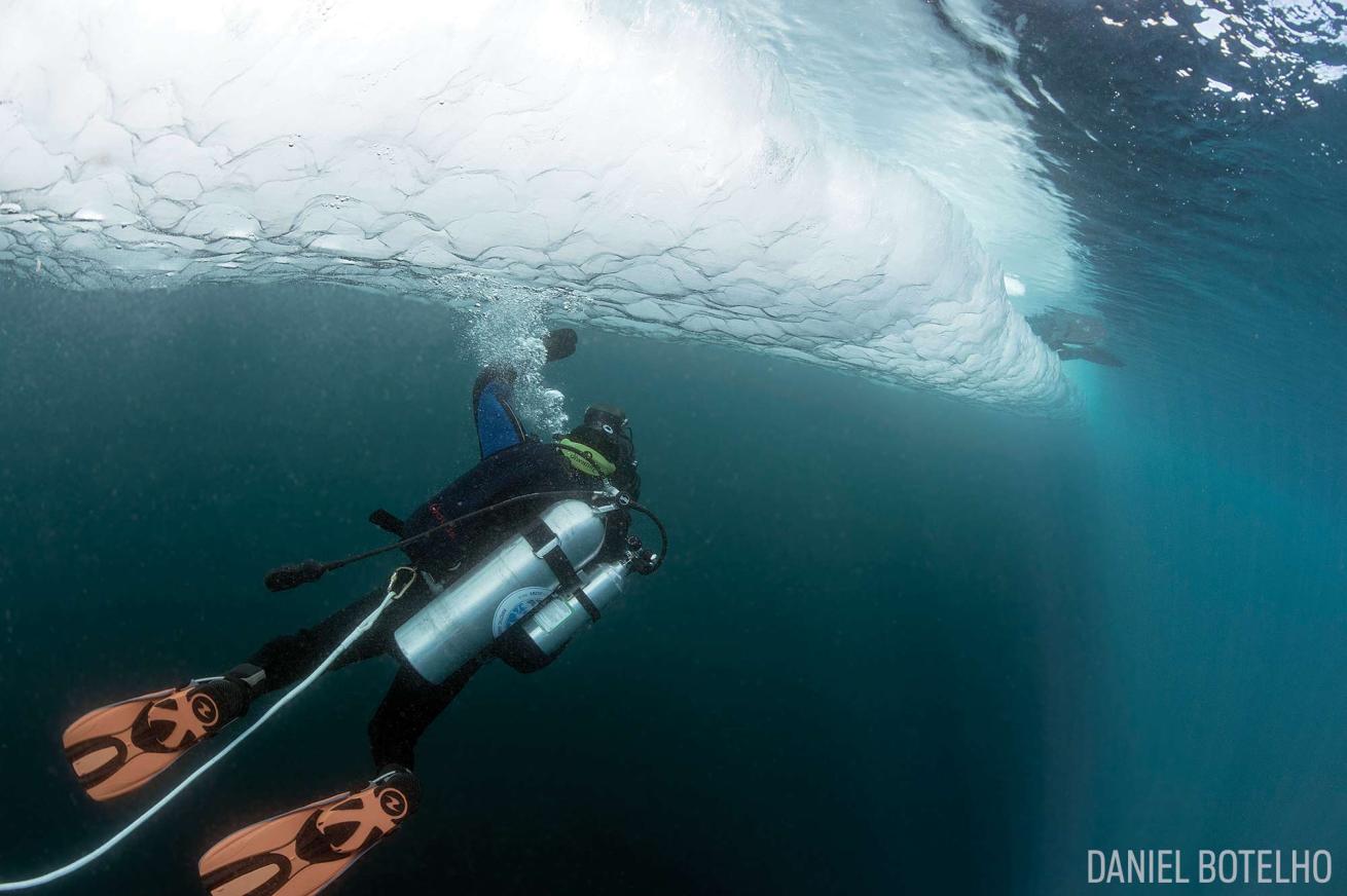 Scuba diver underwater below thick ice in the High Arctic
