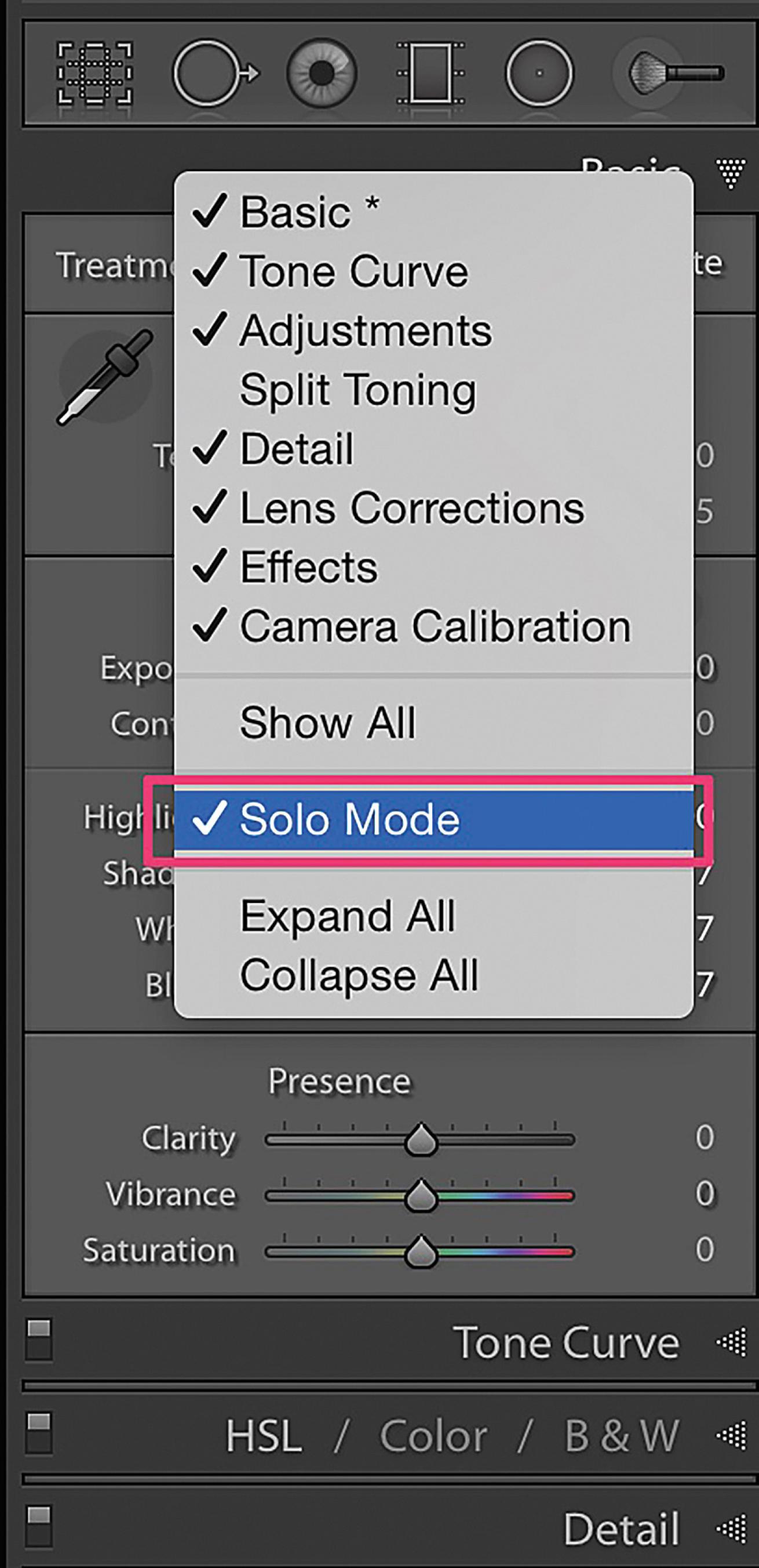 Adobe Lightroom Catalog Tutorial Tips Solo Mode