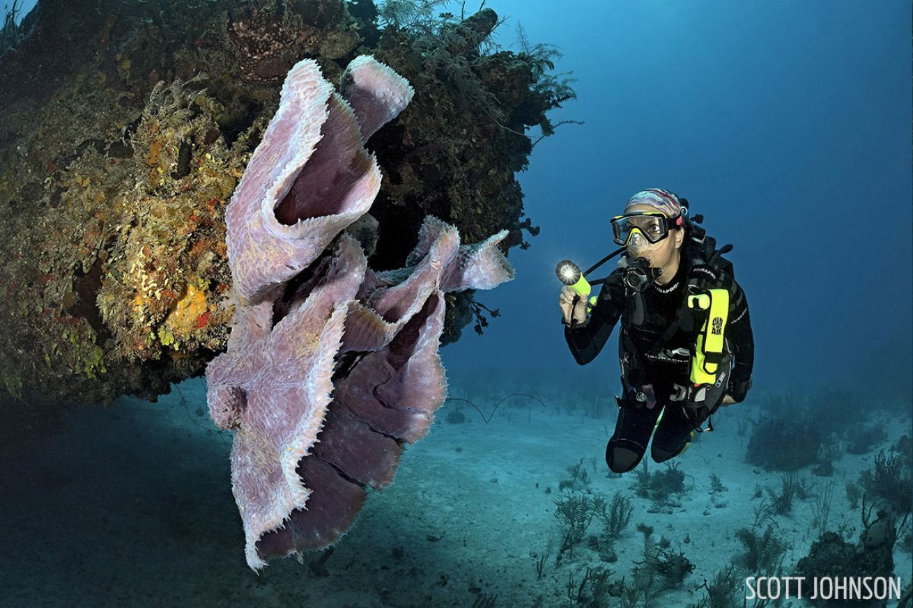 Scuba diver in Cuba. 