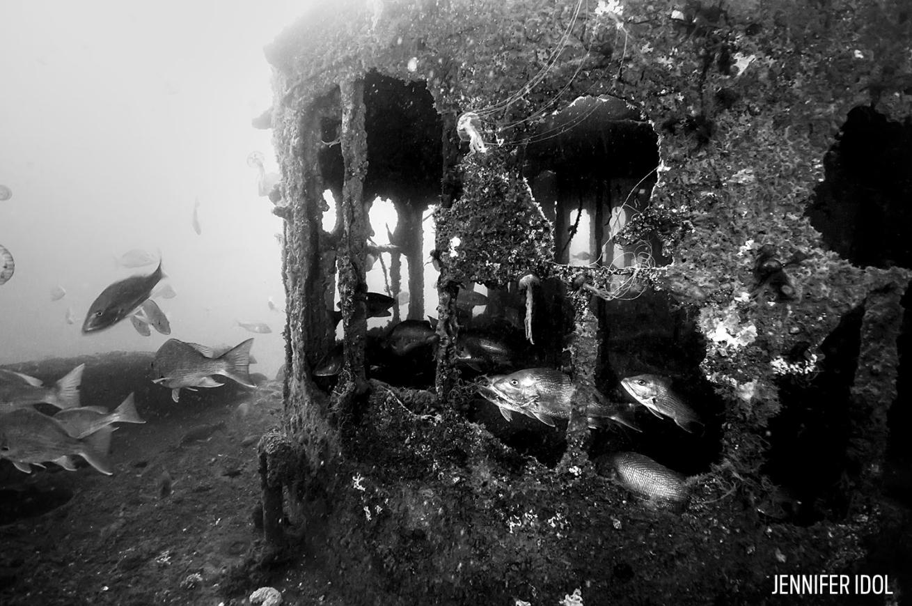Underwater Shipwreck Alabama