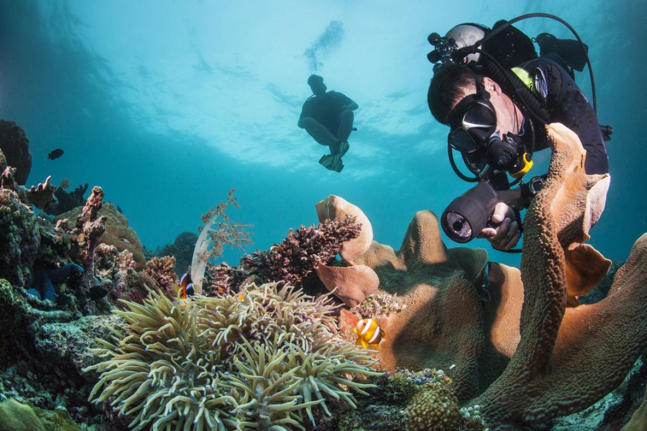 scuba diving philippines 