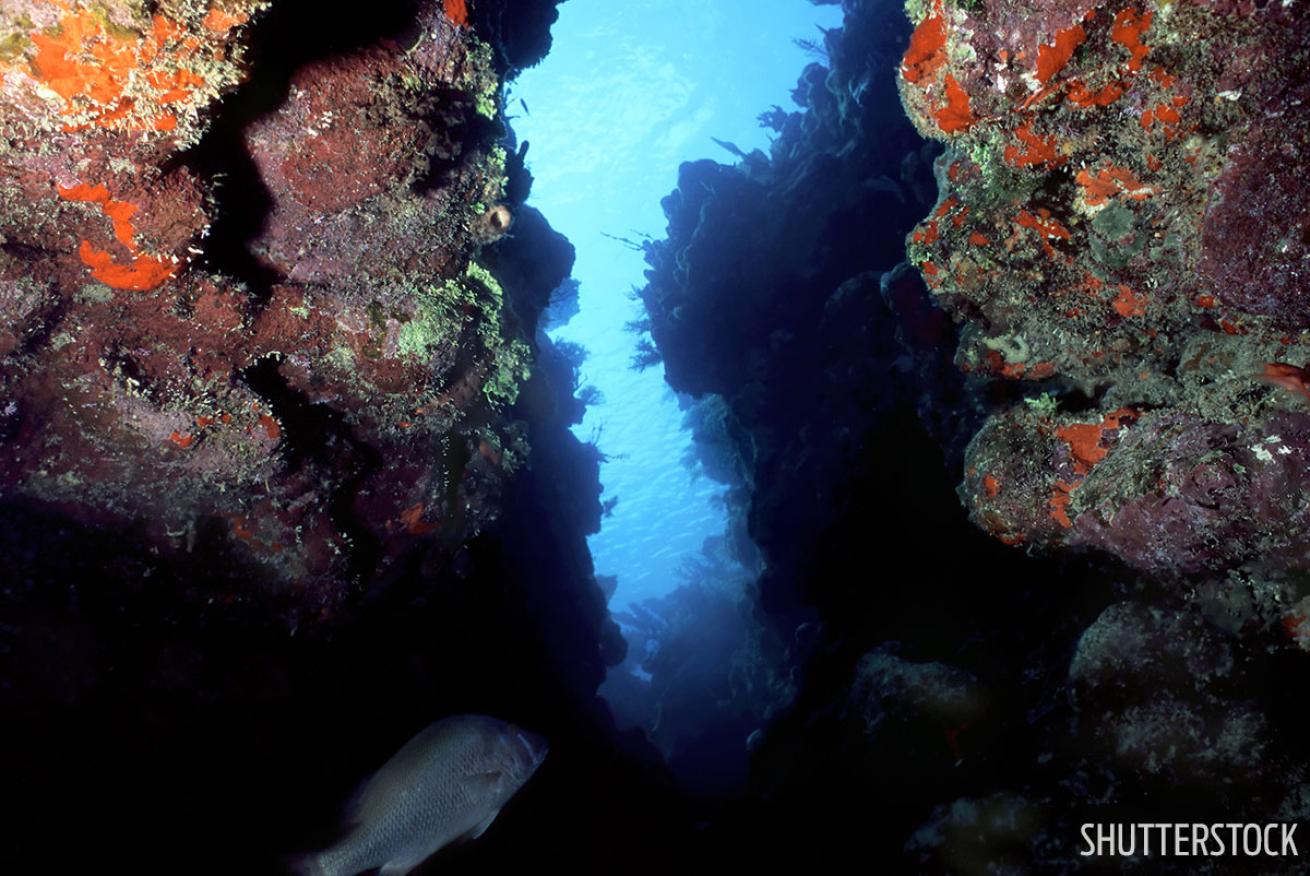 Best cave and cavern scuba diving Caribbean Bay Islands Honduras