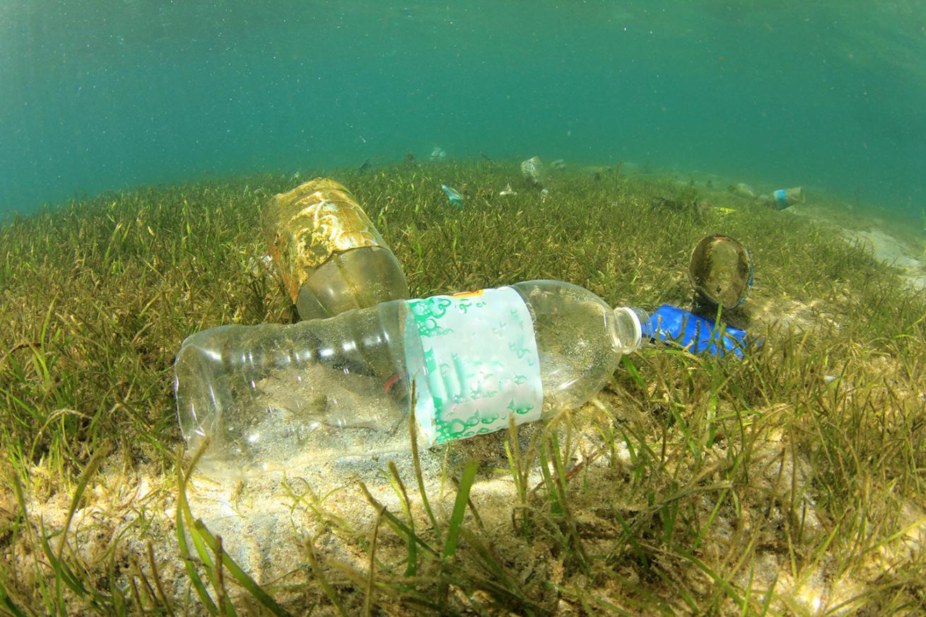 plastic debris underwater