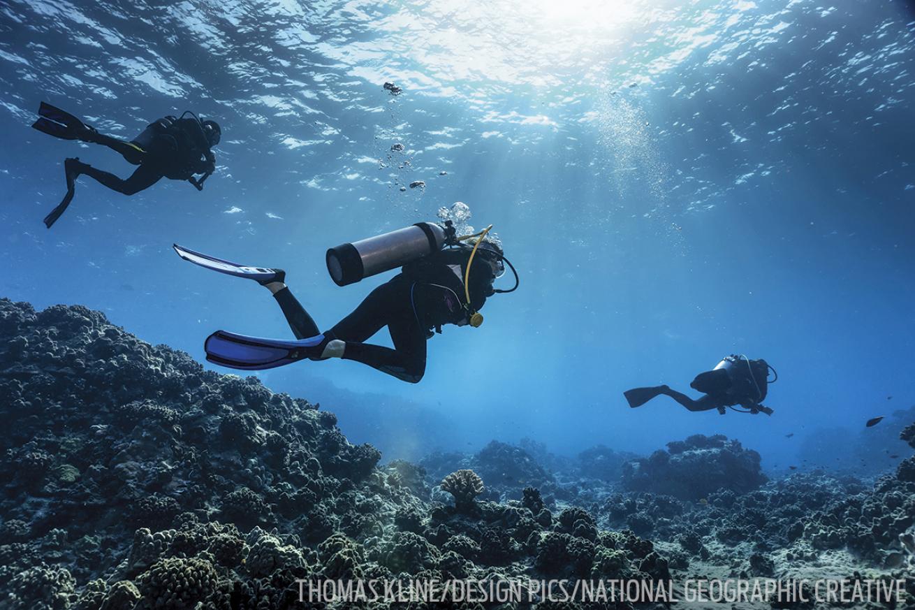 Scuba divers underwater Kona Hawaii