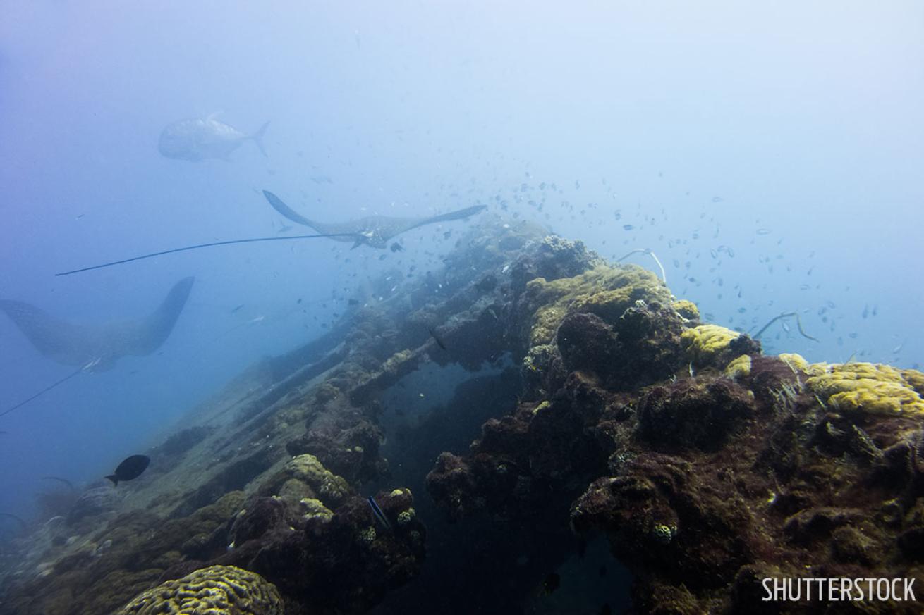 Yongala shipwreck scuba diving sites Australia