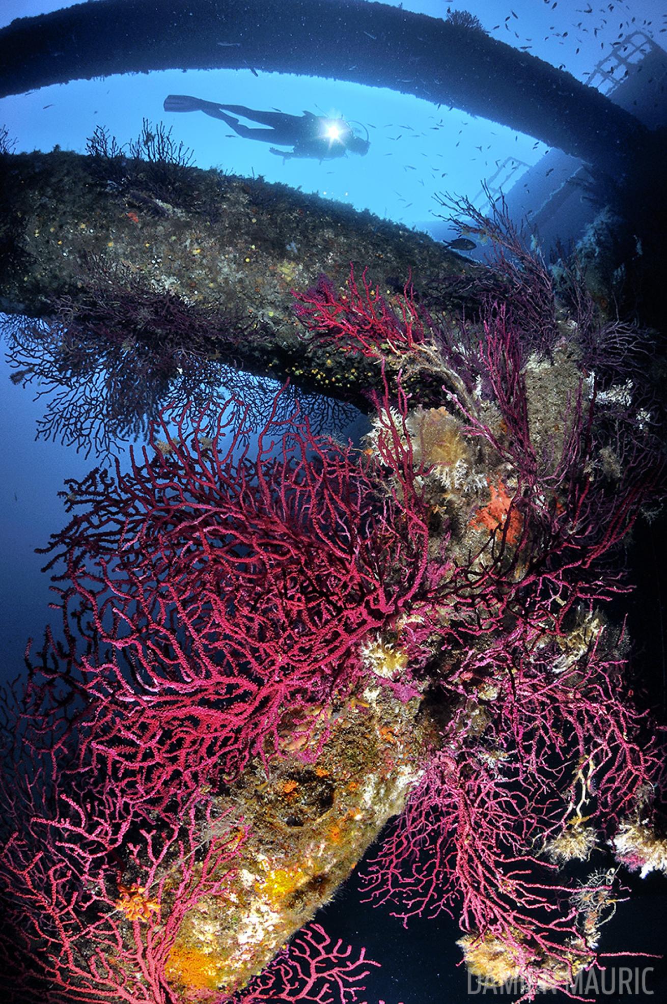 scuba diving in France