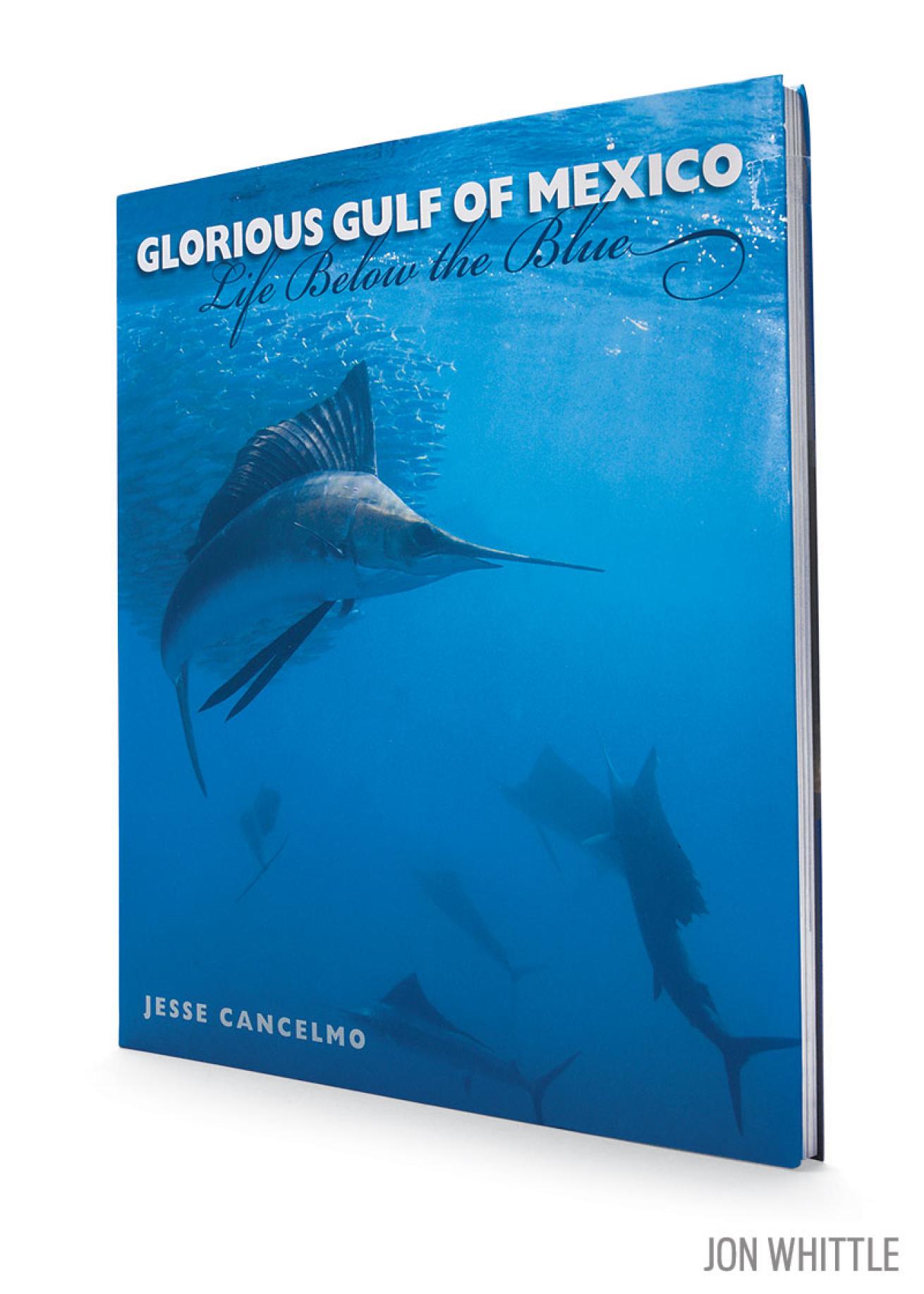Glorious Gulf of Mexico: Life Beneath the Blue