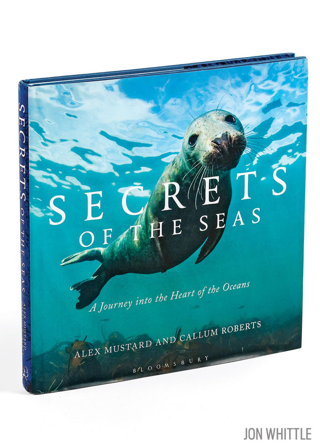 Secrets of the Seas: A Journey into the Heart of the Oceans