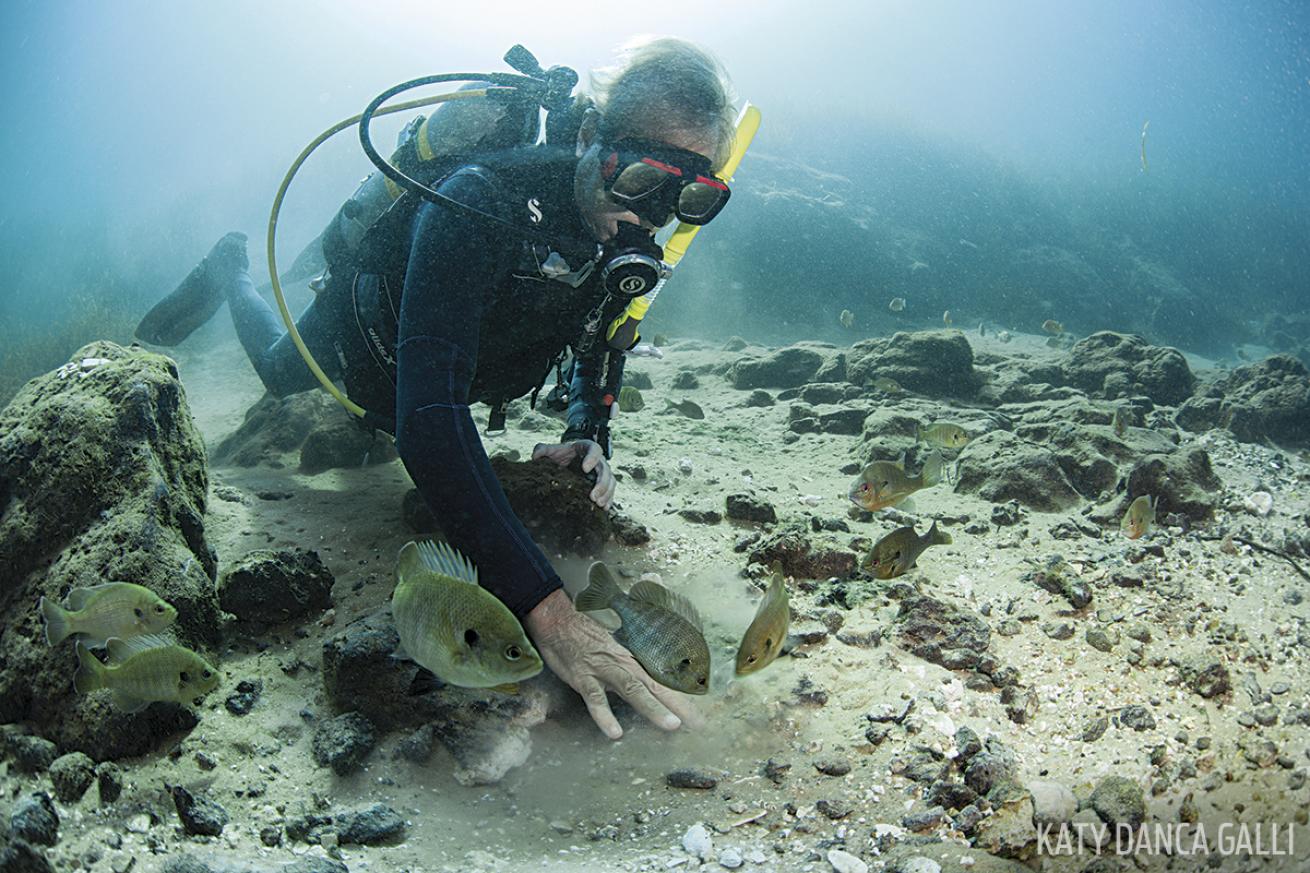 Scuba diver playing with bluegills Rainbow River Florida