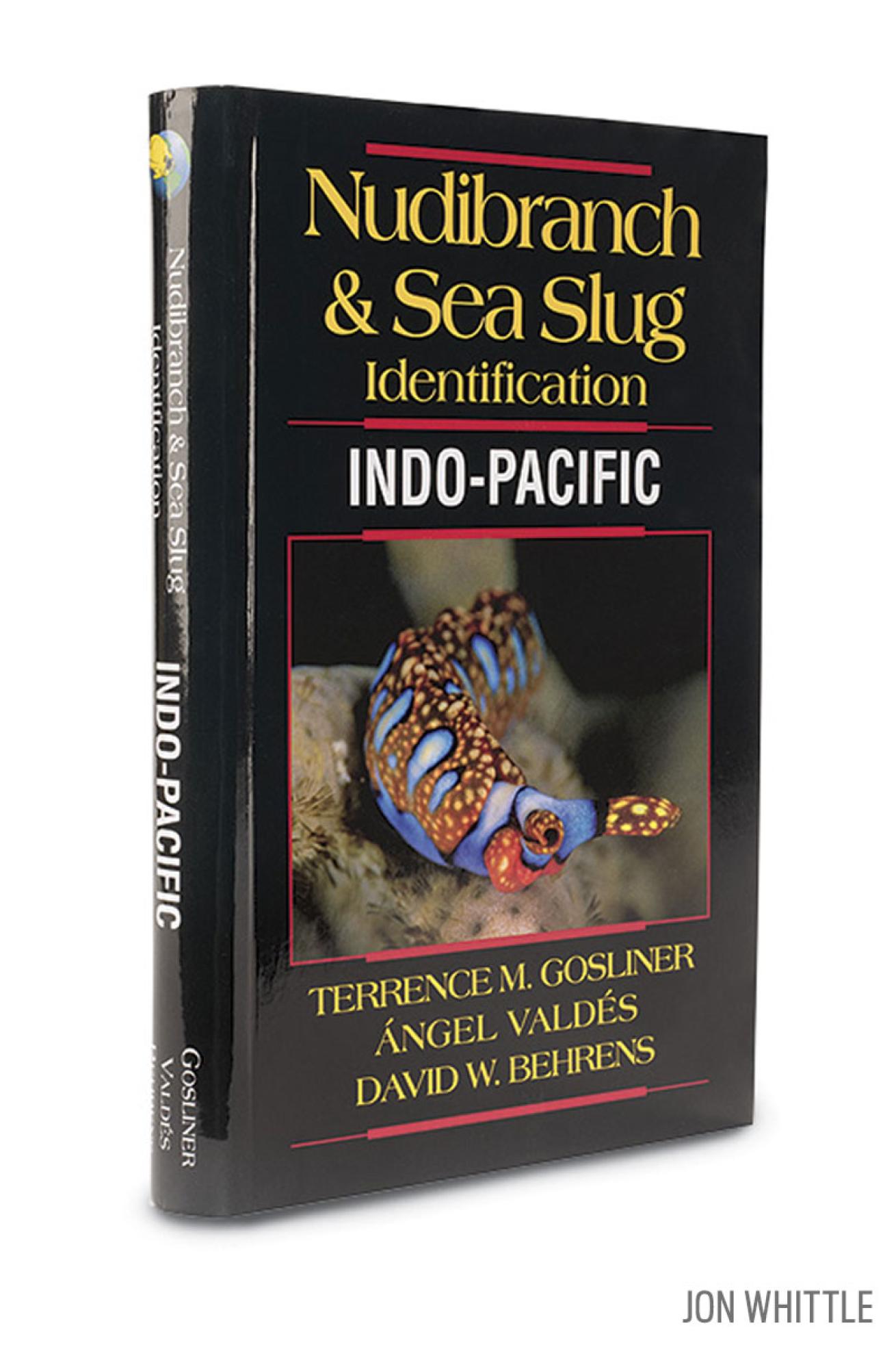 Nudibranch and Sea Slug Identification — Indo-Pacific 