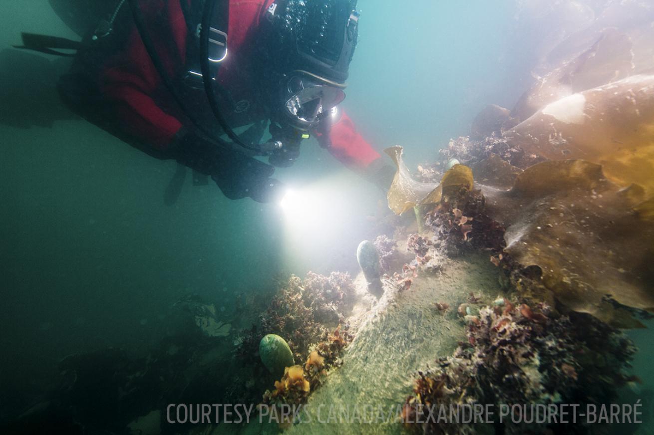 Canadian underwater underwater archaeologist surveys HMS Terror wreck