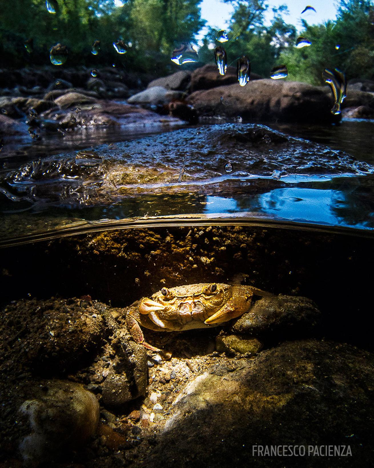 scuba diving through your lens photo contest
