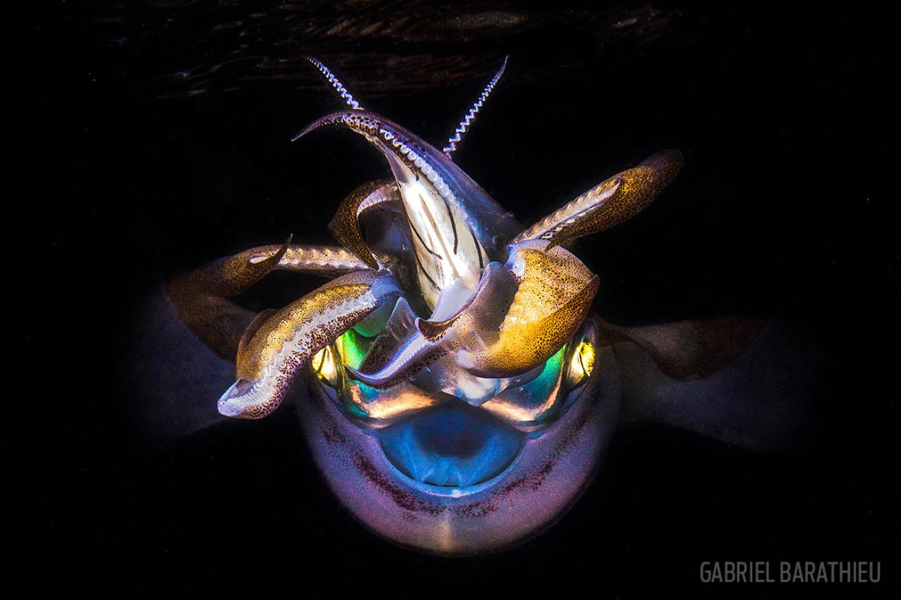 scuba diving through your lens photo contest