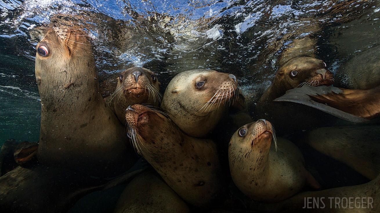 scuba diving through your lens photo contest