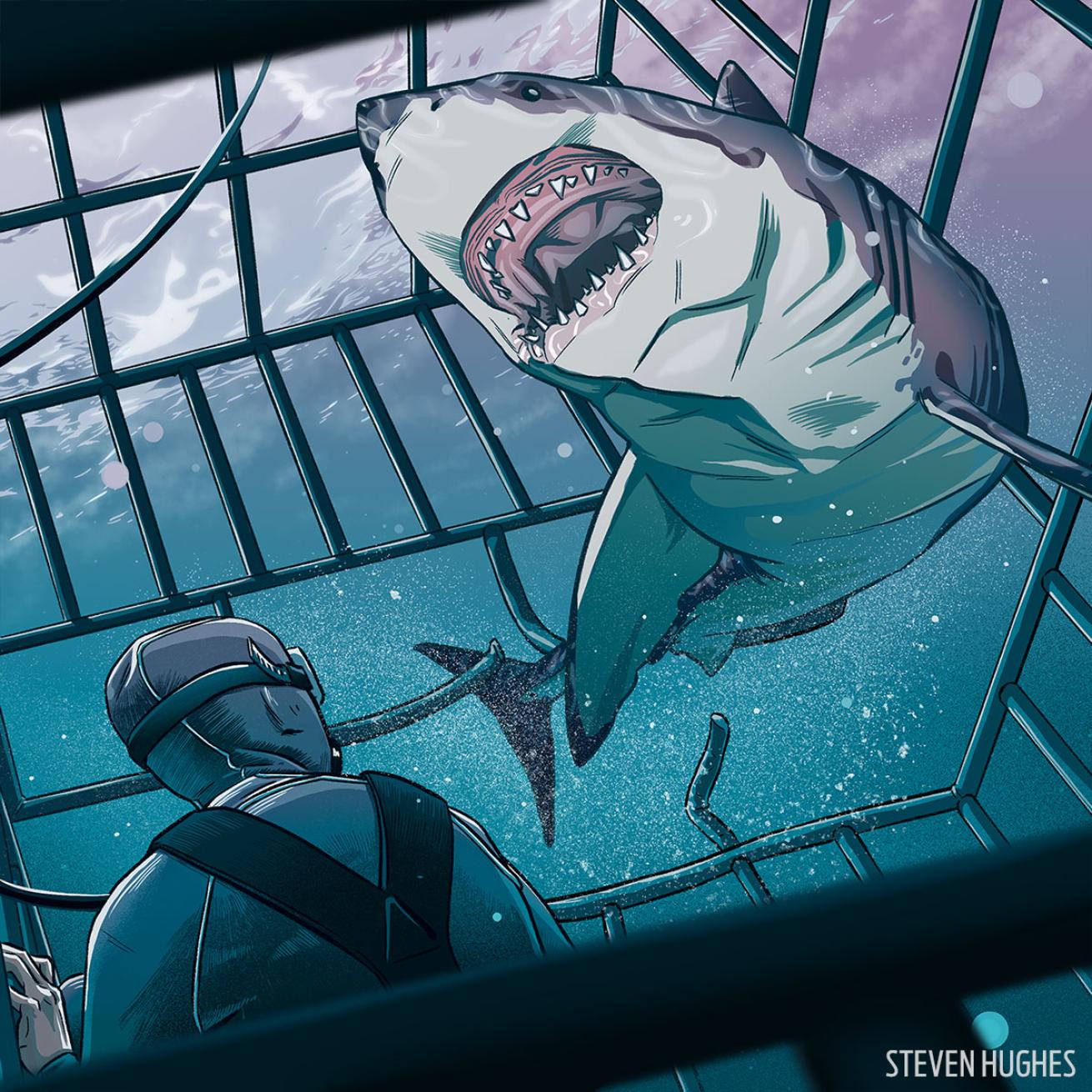 great white shark in cage