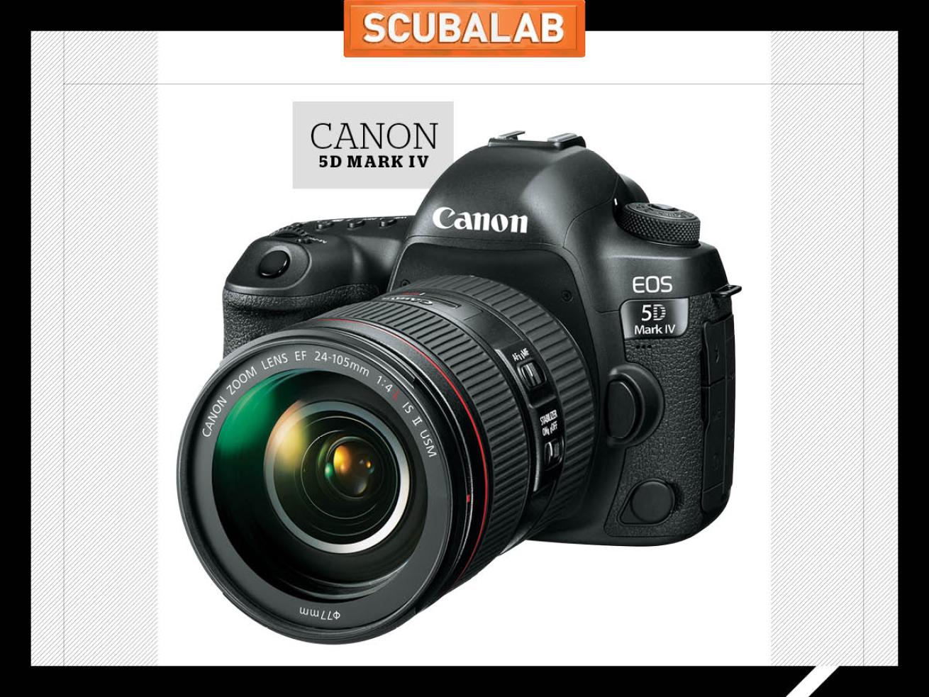 Canon 5D Mark IV camera for underwater photography